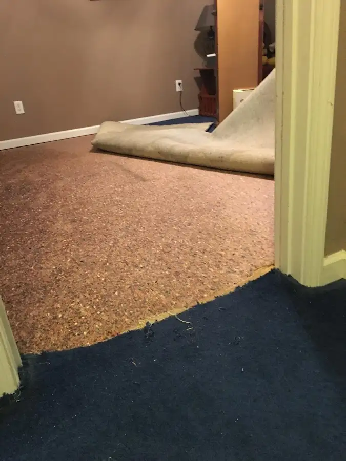Carpet pad removal revealing water damage during Water Mitigation Services in Shrewsbury
