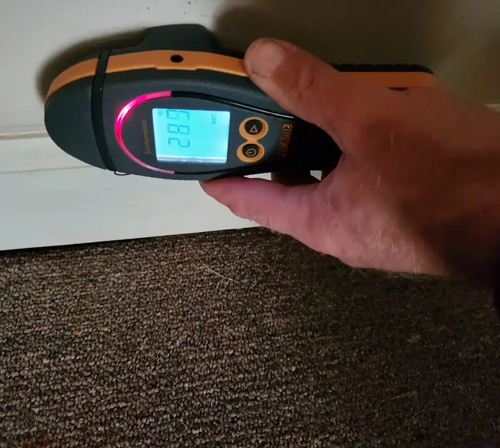 Moisture detection at baseboard during Sewage Cleanup & Sanitation in Shrewsbury